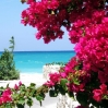 bimini 07_030.jpg